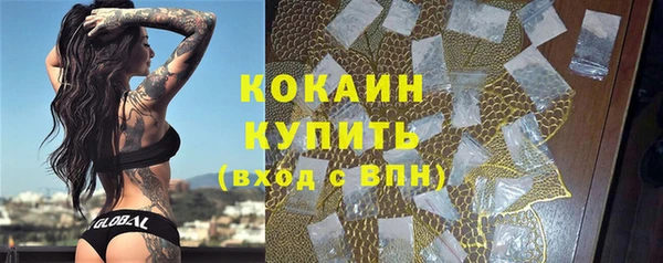 ешки Мегион