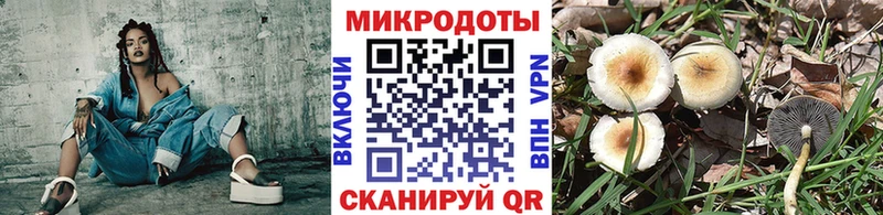 Псилоцибиновые грибы мухоморы  блэк спрут маркетплейс  Елабуга 