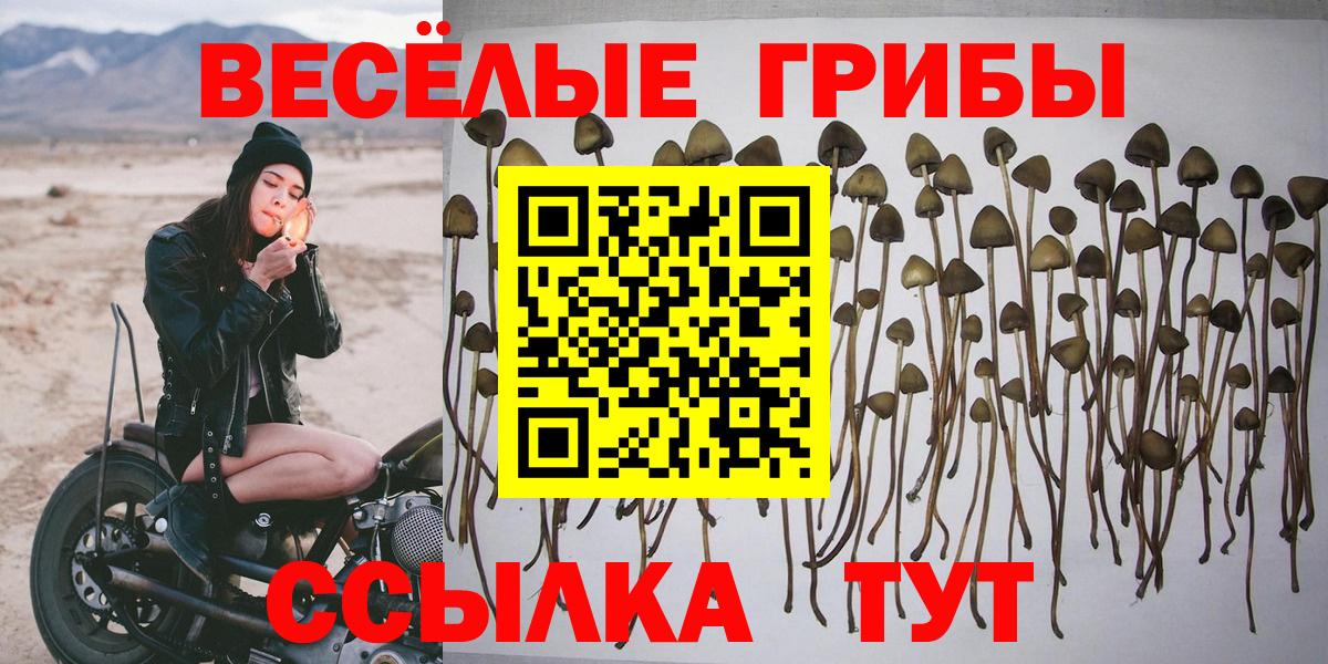 Псилоцибиновые грибы мухоморы Елабуга