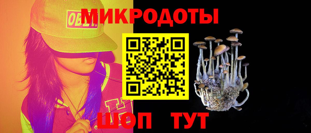Псилоцибиновые грибы GOLDEN TEACHER  Вход с VPN  Елабуга  Псилоцибиновые грибы Psilocybine cubensis 