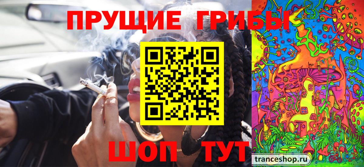 Галлюциногенные грибы прущие грибы Елабуга